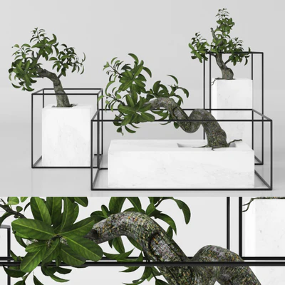 Plants tree 33 bonsai — Ver 1