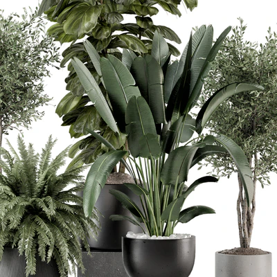 Indoor Plants in Ferm Living Bau Pot Large - Set 1277 — Ver 2