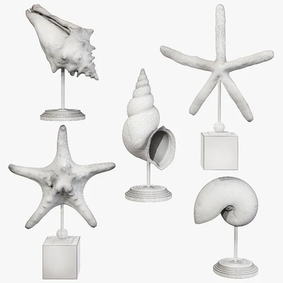 Sea shell decorative set 03 — Ver 5
