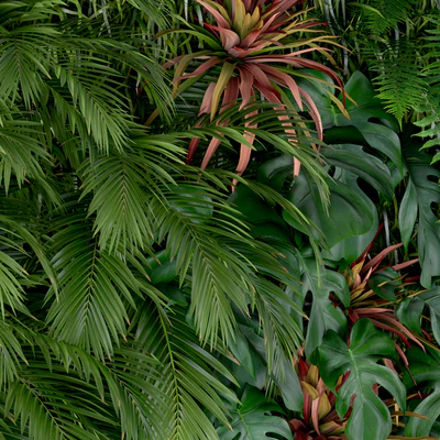 Plants collection 200 — Вид 3