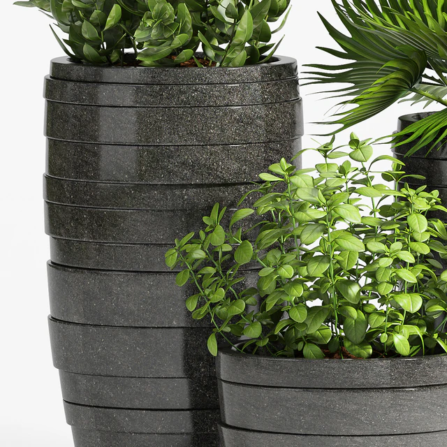 PLANT -31 — Descargar