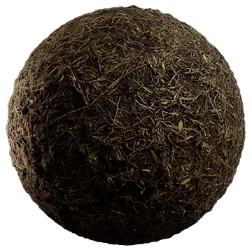 dried grass on damp soil 012 — Descargar