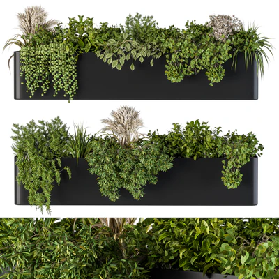 Plant Box on Wall 04 — Ver 1