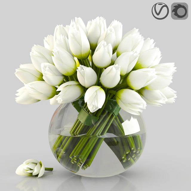 Angelique tulips — Descargar