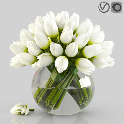Angelique tulips — Ver 1