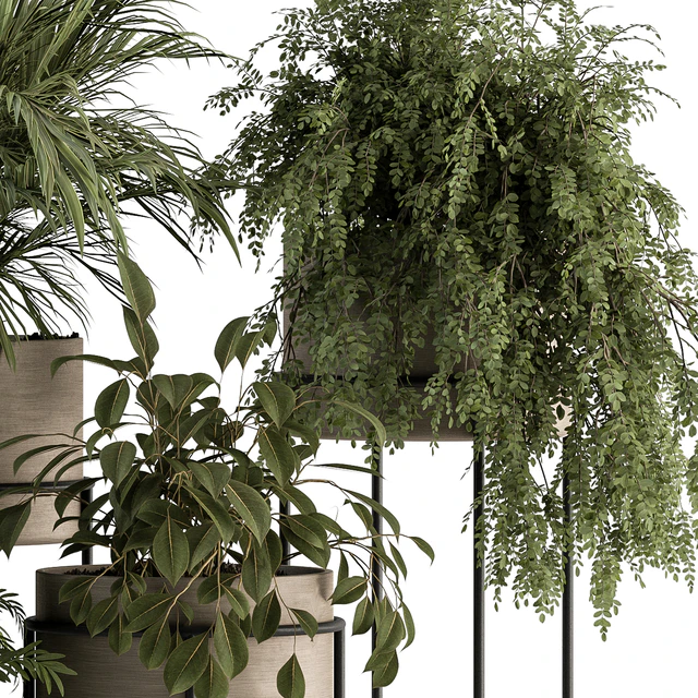 indoor Plant Set 398- Tree and Plant Set in pot — Descargar