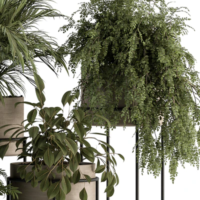 indoor Plant Set 398- Tree and Plant Set in pot — Ver 2