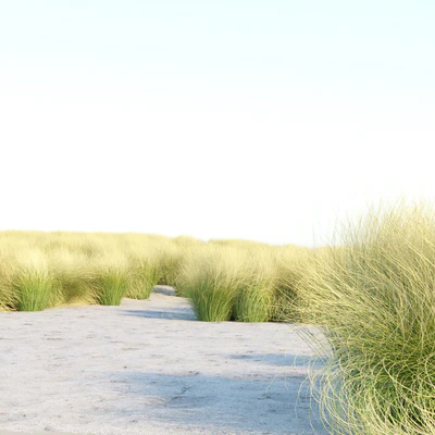 Maram Grass collection vol 155 — Ver 4