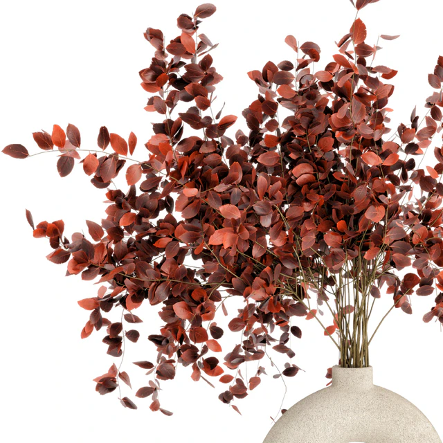 Indoor Plants in Concrete Pots - Set 66 — Descargar