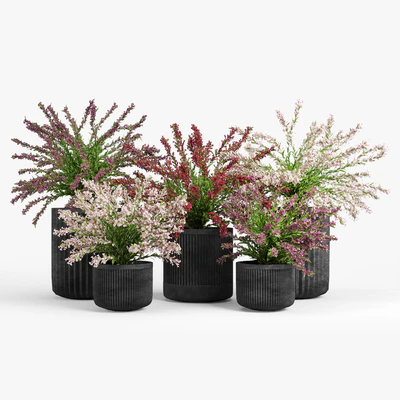 Cozzo planter weigela — View 2