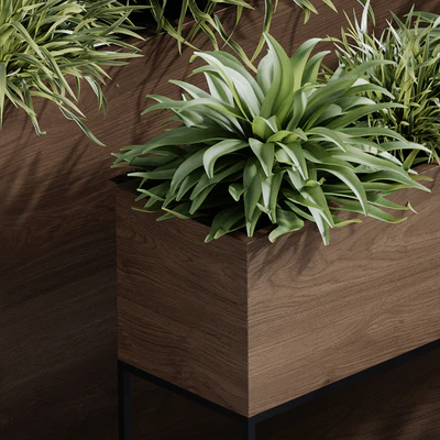 indoor plant set 65 — Ver 3
