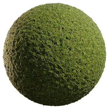 wild grass 037 — Скачать