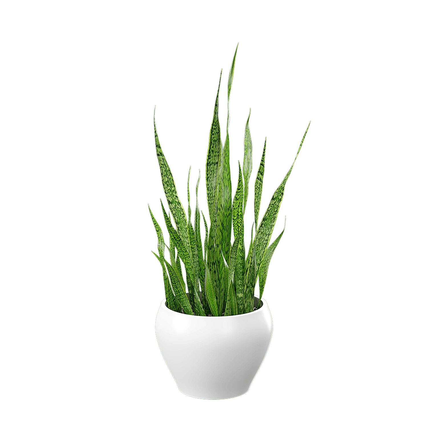 plant snake 003 — Скачать