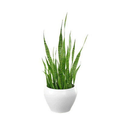 plant snake 003 — Скачать