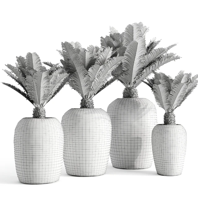 Restoration Hardware Cantera Planters With Sago Palm — Descargar