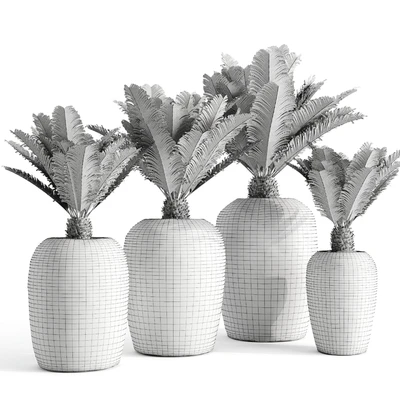 Restoration Hardware Cantera Planters With Sago Palm — Ver 3