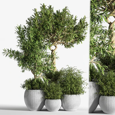 Indoor Plant Set 12 — Вид 1