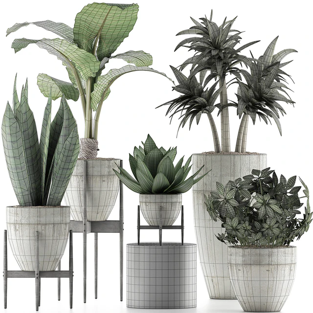 Plants Collection 37 — Descargar