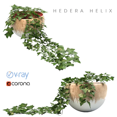 ivy planter — Ver 1