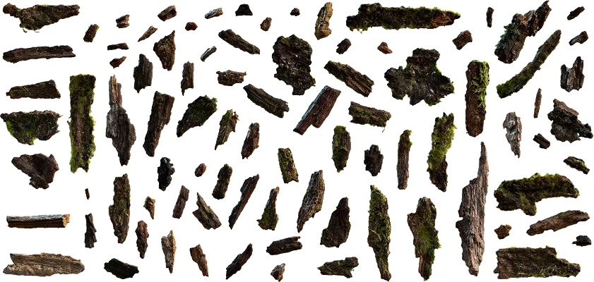 mossy debris 001 — Скачать