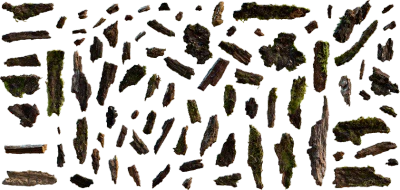 mossy debris 001 — Скачать