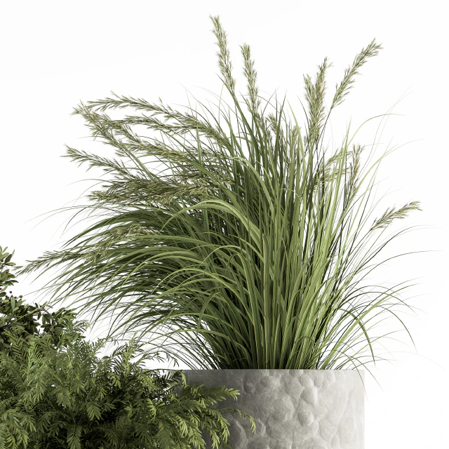 Outdoor Plant Set 292 - Plant Set in Concrete Pot — Descargar
