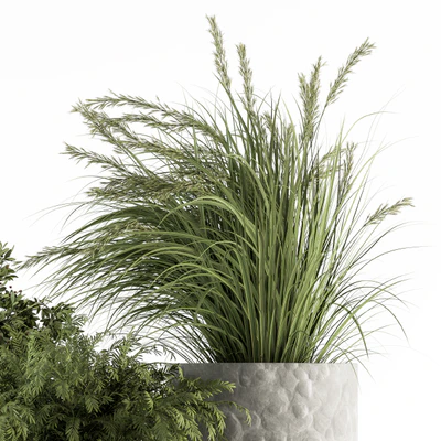 Outdoor Plant Set 292 - Plant Set in Concrete Pot — Ver 3