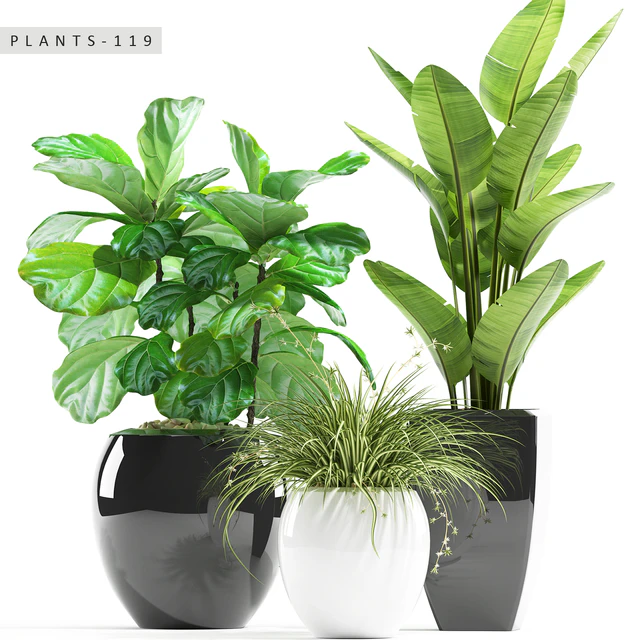 PLANTS 119 — Скачать