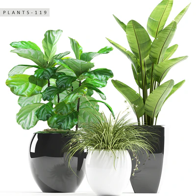 PLANTS 119 — Скачать