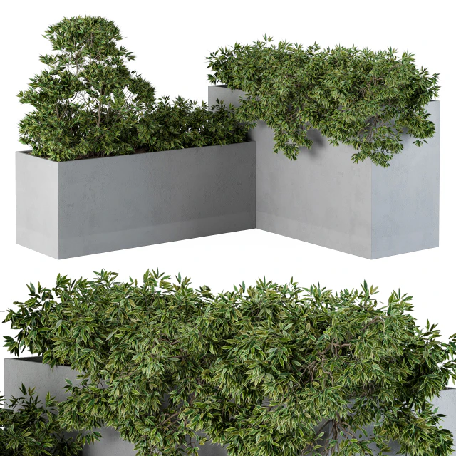 outdoor Plants Concrete Box - Set 43 — Скачать