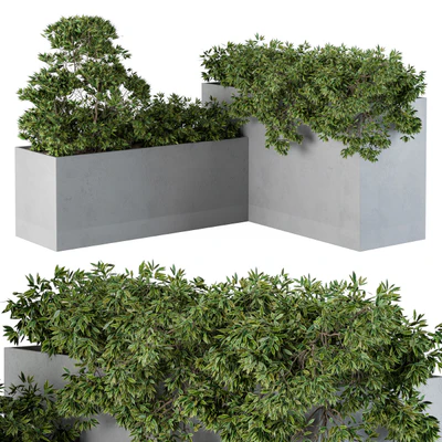 outdoor Plants Concrete Box - Set 43 — Вид 1