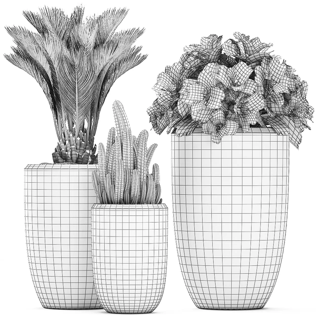 Collection of small plants in ethnic aged pots with Cactus, Date palm, flower. Set 476. — Descargar