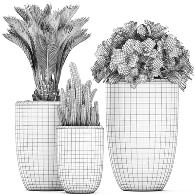 Collection of small plants in ethnic aged pots with Cactus, Date palm, flower. Set 476. — Ver 3