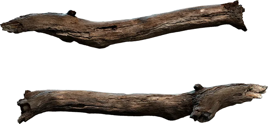 wooden branch 005 — Скачать