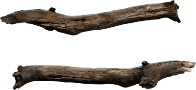 wooden branch 005 — Скачать
