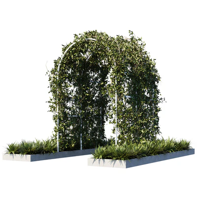 Outdoor plants01 — Вид 1