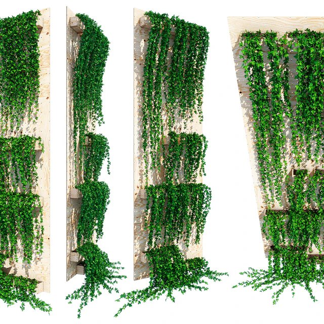 Planter box ivy — Descargar