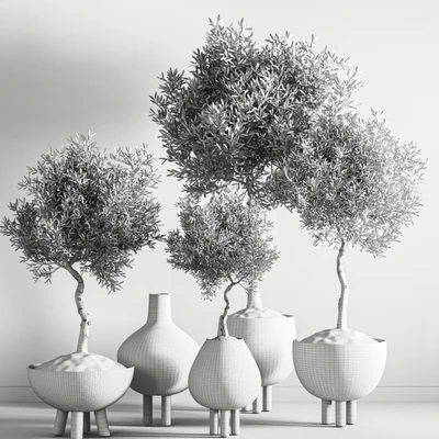 indoor plant stant 46 — Вид 4