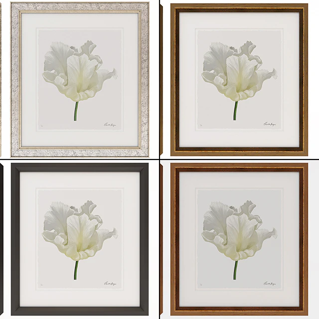 Charlotte Morgan White Watercolour Tulips — Скачать