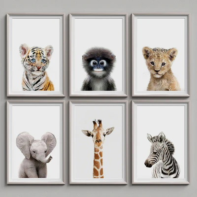 Nice Picture Frames Set 15 — Вид 1