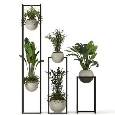 Collection Indoor Plants Nim12 — Вид 5