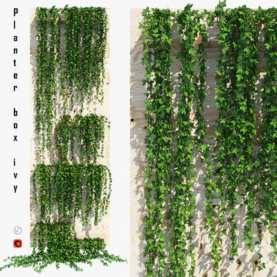 Planter box ivy — Ver 1