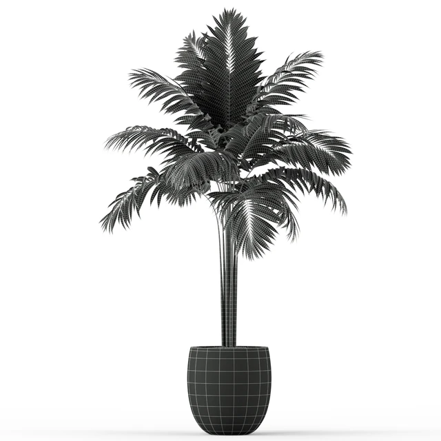 Plants collection 220 — Descargar