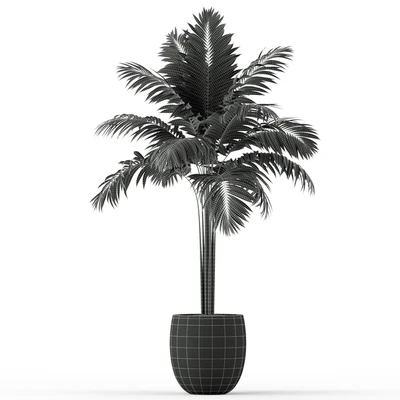 Plants collection 220 — Ver 3