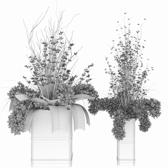 Collection plant vol 56 — Descargar