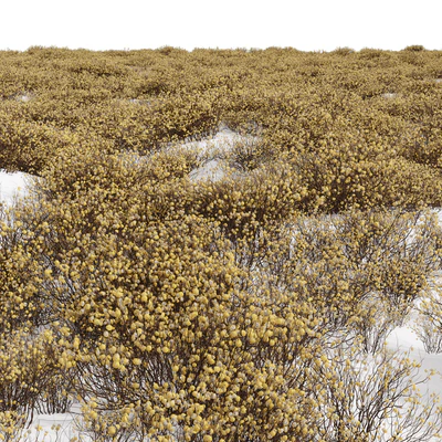 New Plant Edgeworthia Chrysantha Paperbush Viburnum Opulus Roseum Bush — Ver 2