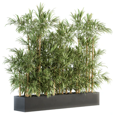 Indoor Plant Set 144 - Bamboo in Plant Box — Ver 1