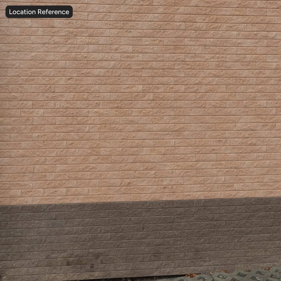 zoom
