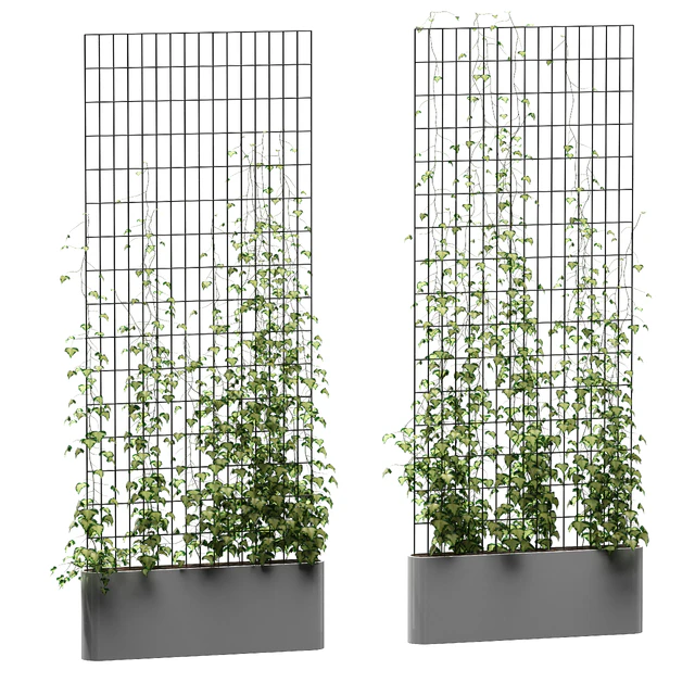 Ivy on the grid v3 — Descargar