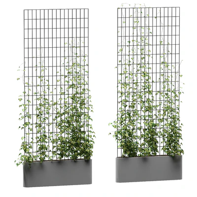 Ivy on the grid v3 — Ver 1